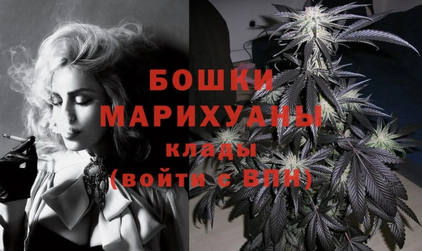 PSILOCYBIN Остров