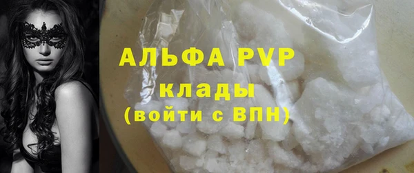 PSILOCYBIN Осташков