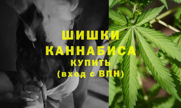 PSILOCYBIN Осташков