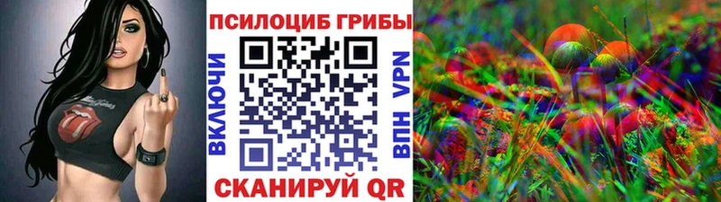 Галлюциногенные грибы прущие грибы  купить наркотики цена  Алупка 